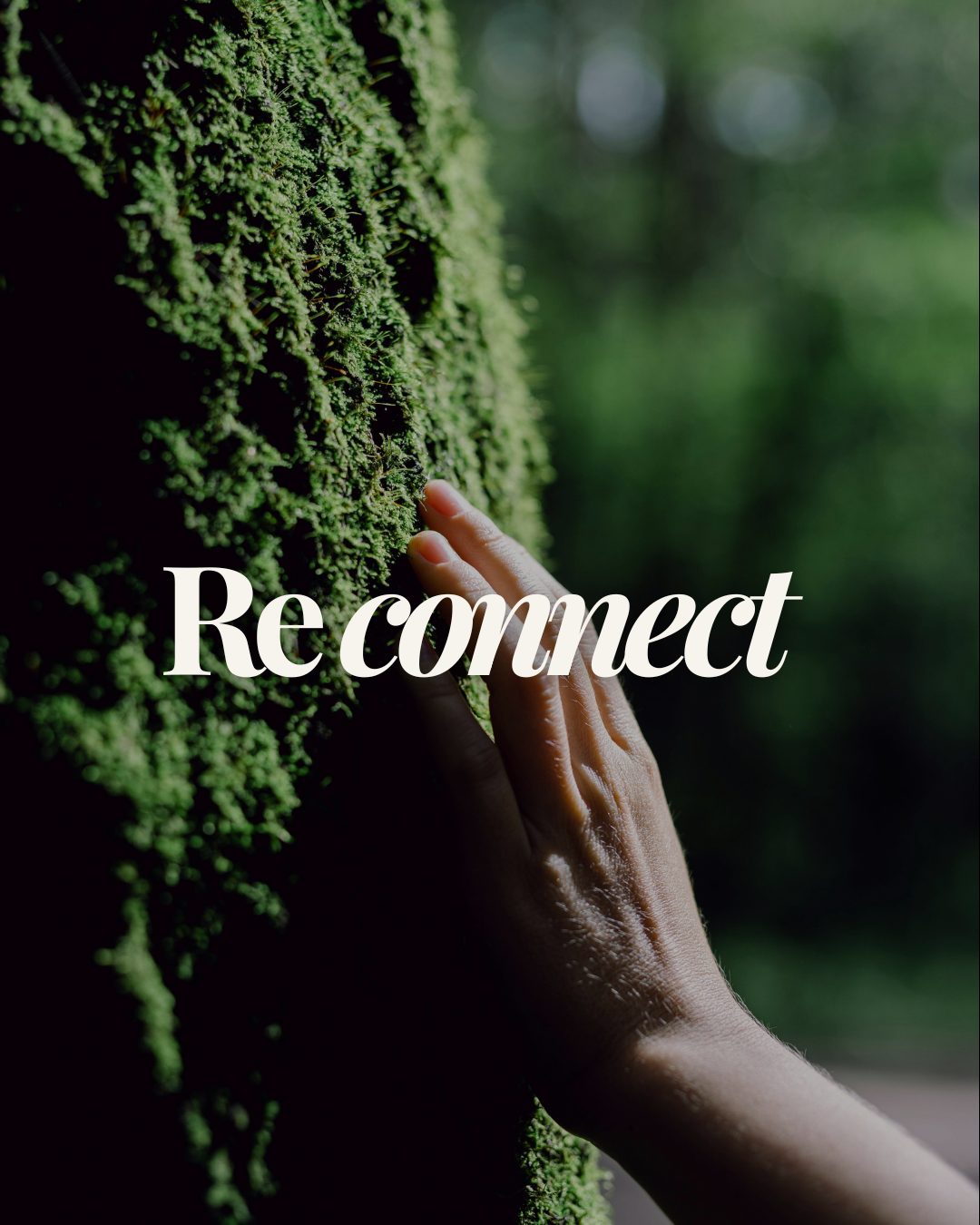 Into The Life Oddech